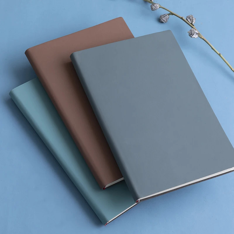A5 notitieboek van zacht leer  - Notebook Dotted A5 recensie en prijs